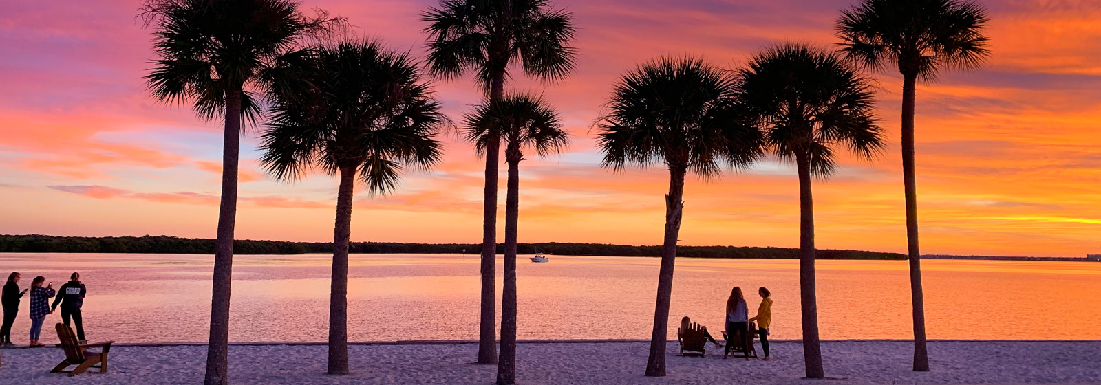 Reunion - Alumni Engagement | Eckerd College