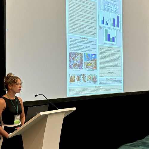 Student presenting at a podium next to a very large screen