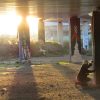 Graffiti artist sprays a wall under an overpass while sun sets behind him