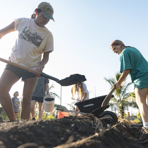 Two students use shovels to dig dirt out of a trench on a farm