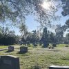 Wide view of two students talking in a cemetery lined with tombstones on a sunny day