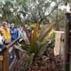 students observe the new ladder feeder on the fence