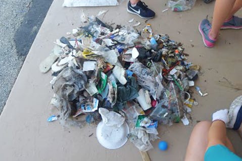 Eckerd receives federal grant to reduce single-use plastics on campus -  News