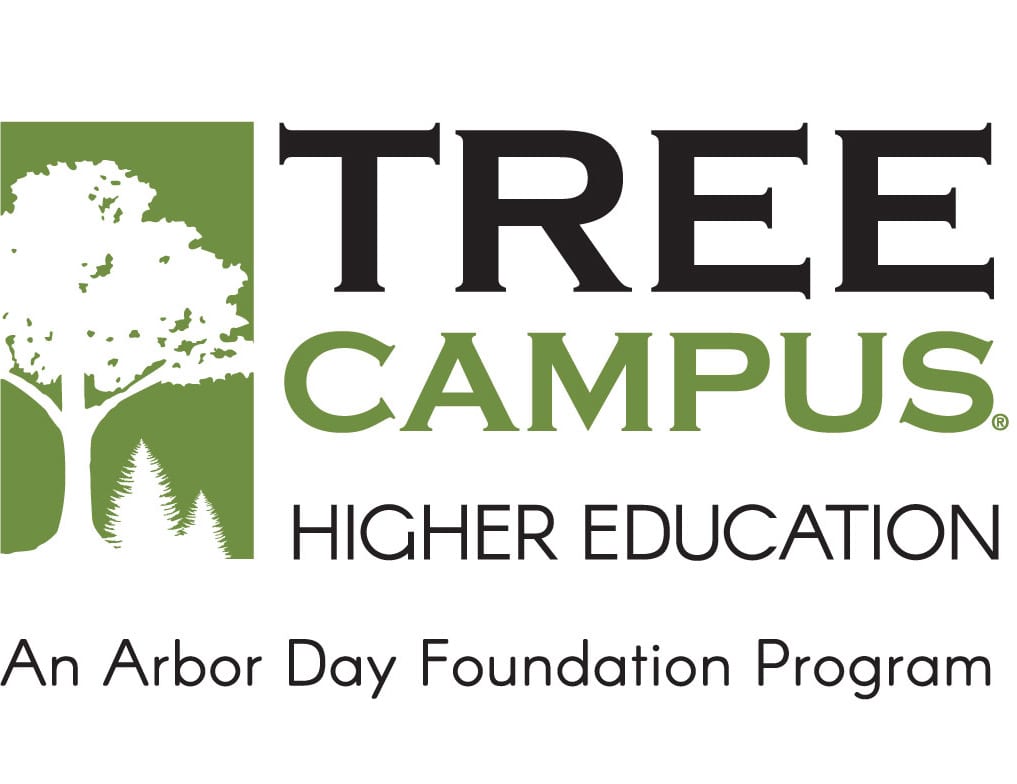 https://www.eckerd.edu/wp-content/uploads/2021/03/treecampus-higher-ed.jpg