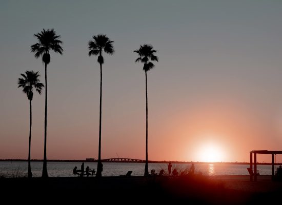 Eckerd College students silhouetted by a sunset on the beach with tall palm trees